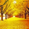 Forest Autumn Golden Leaves paint by number