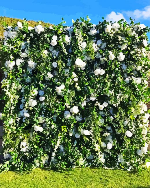 Garden Flowers Wall paint by number