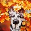 German Shepherd Autumn Background Dog paint by numbers