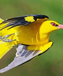 Golden Oriole Flying paint by number