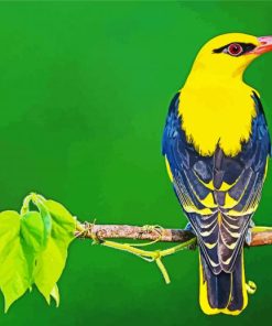 Golden Oriole On Stick paint by number