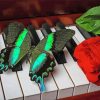 Green Black Butterfly And Red Rose paint by numbers