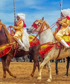 Horse Show In Morocco paint by numbers