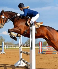Horse Show paint by numbers