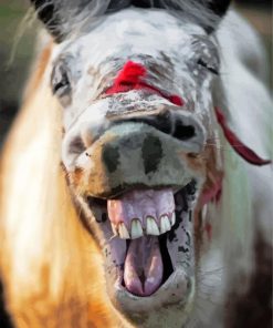 Horse Laughing paint by number