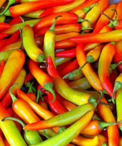 Hot Chile Peppers paint by numbers