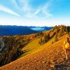 Hurricane Ridge Sunrise paint by number