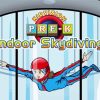 Indoor Skydiving Cartoon paint by numbers