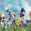 Iris Field Plants paint by numbers
