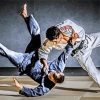 Jiu Jitsu Sport paint by numbers