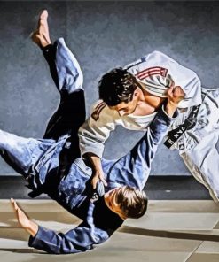 Jiu Jitsu Sport paint by numbers