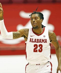 John Petty Jr Alabama Men S Basketball Player paint by number