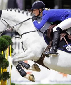 Jumping Horse Show paint by numbers