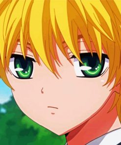 Kid Takumi Usui Maid Sama paint by numbers