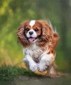 King Charles Cavalier Dog paint by numbers
