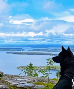 Koli National Park Magical Landscape paint by number