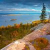 Koli National Park paint by number