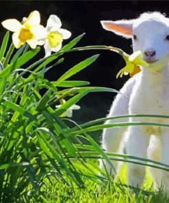 Little Goat With Flowers paint by numbers