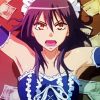 Maid Sama Manga Serie paint by numbers