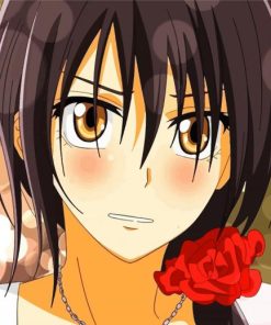 Maid Sama Anime Character paint by numbers
