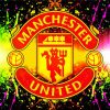 Manchester United Logo paint by numbers