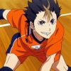 Nishinoya Haikyuu Manga paint by numbers