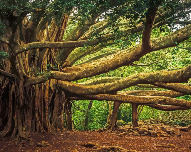 Old Banyan Tree paint by numbers