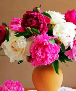 Pink And White Peony In Vase paint by numbers