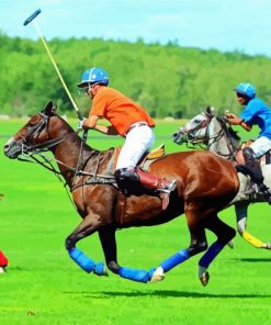 Polo Sport Players And Horses paint by numbers