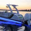 Pontoon Illustration paint by number