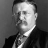 President Theodore Roosevelt Black And White paint by number