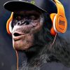 Primate Wearing Headphones paint by number