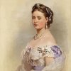 The Queen Victoria paint by numbers