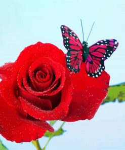 Red Rose And Butterfly paint by number