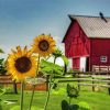 Red Barn And Beautiful Sunflowers paint by numbers