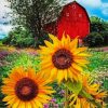 Red Barn Sunflowers paint by numbers