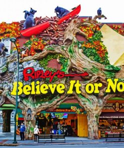 Ripley's Believe It Or Not In Fort Worth paint by numbers