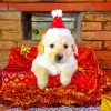 Santa Puppy paint by number