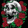 Skulls And Roses Art paint by numbers