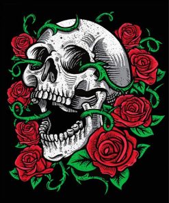 Skulls And Roses Art paint by numbers