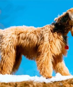 Soft Wheaten Puppy paint by number