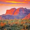 Sonoran Desert Arizona paint by number