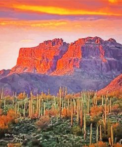 Sonoran Desert Arizona paint by number