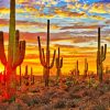 Sonoran Desert paint by number