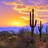 Southwest Desert Scene Sunset paint by number