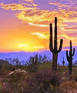 Southwest Desert Scene Sunset paint by number