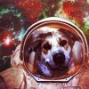 Space Dog Astronaut paint by number