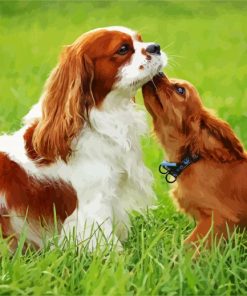 Spaniel Puppies paint by numbers