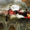 Steam Train On Viaduct paint by number