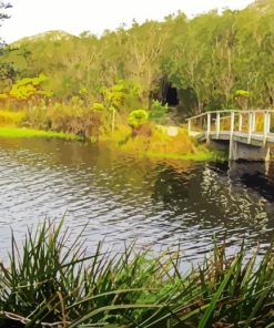 National Park Tafelberg paint by number